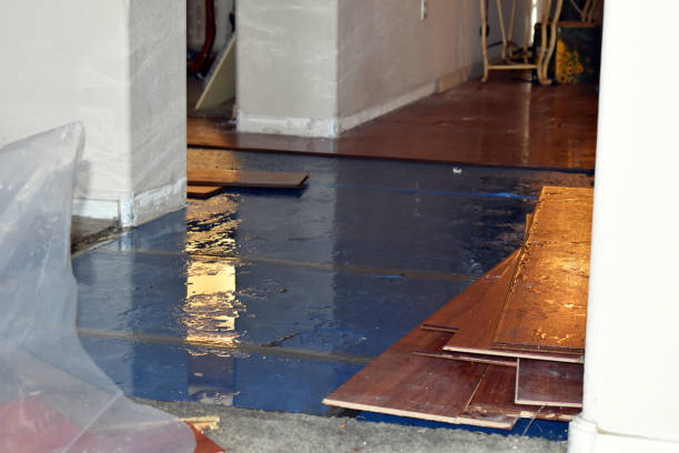 Professional Emergency Water Damage technician working in New Concord, OH